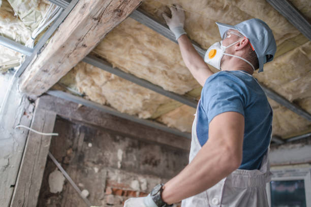 Best Local Insulation Services  in USA